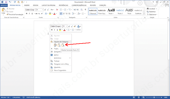como colar word sem formatacao img2