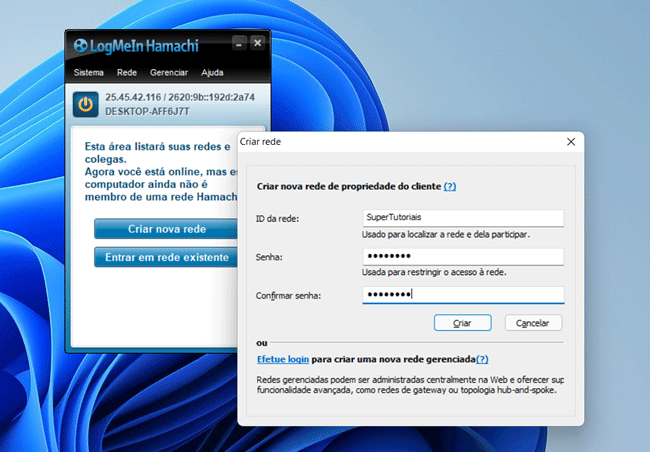 como usar vnc pela internet img4