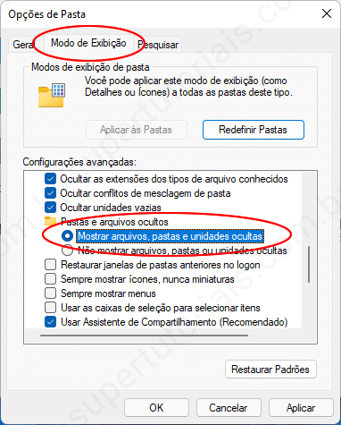 como exibir arquivos ocultos win11 img2