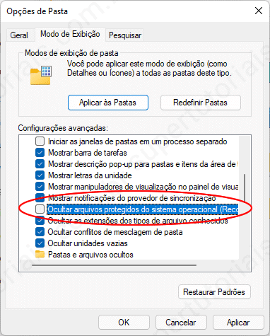 como exibir arquivos ocultos win11 img4
