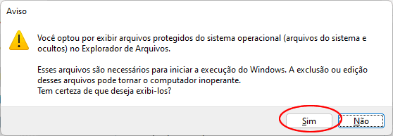 como exibir arquivos ocultos win11 img5