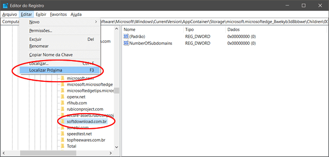 como pesquisar registro windows img4