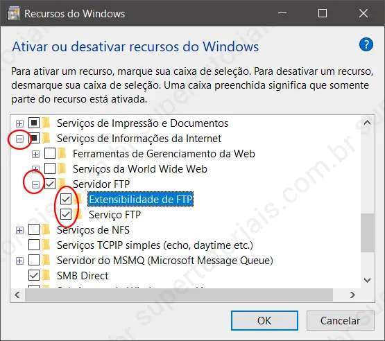 como configurar servidor ftp windows img2