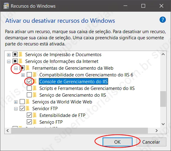 como configurar servidor ftp windows img3