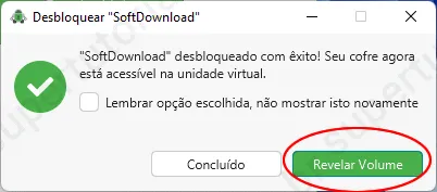 como criptografar arquivos google drive img7