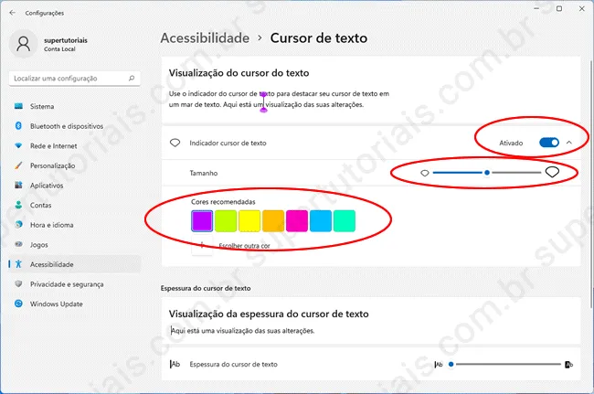 como personalizar ponteiro mouse win11 img6
