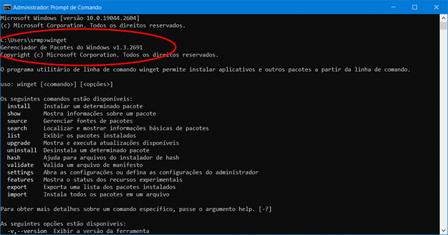 como instalar winget windows10 11 img1